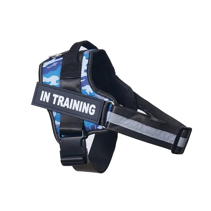 Dog Training Harness
