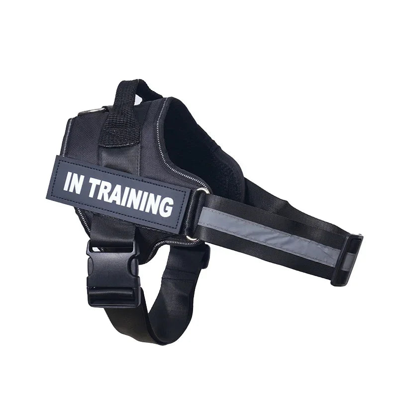 Dog Training Harness