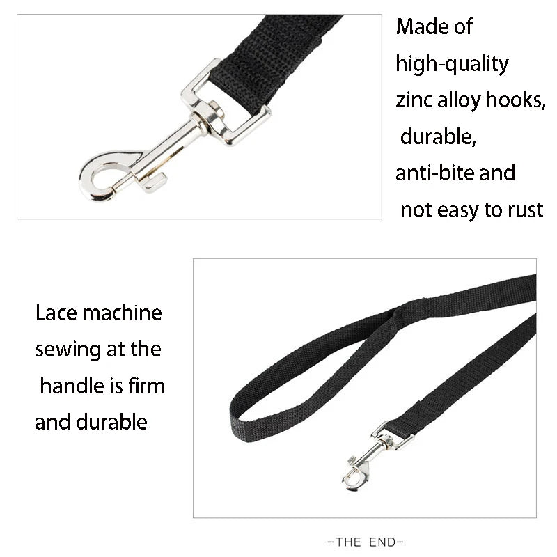 Long Leash