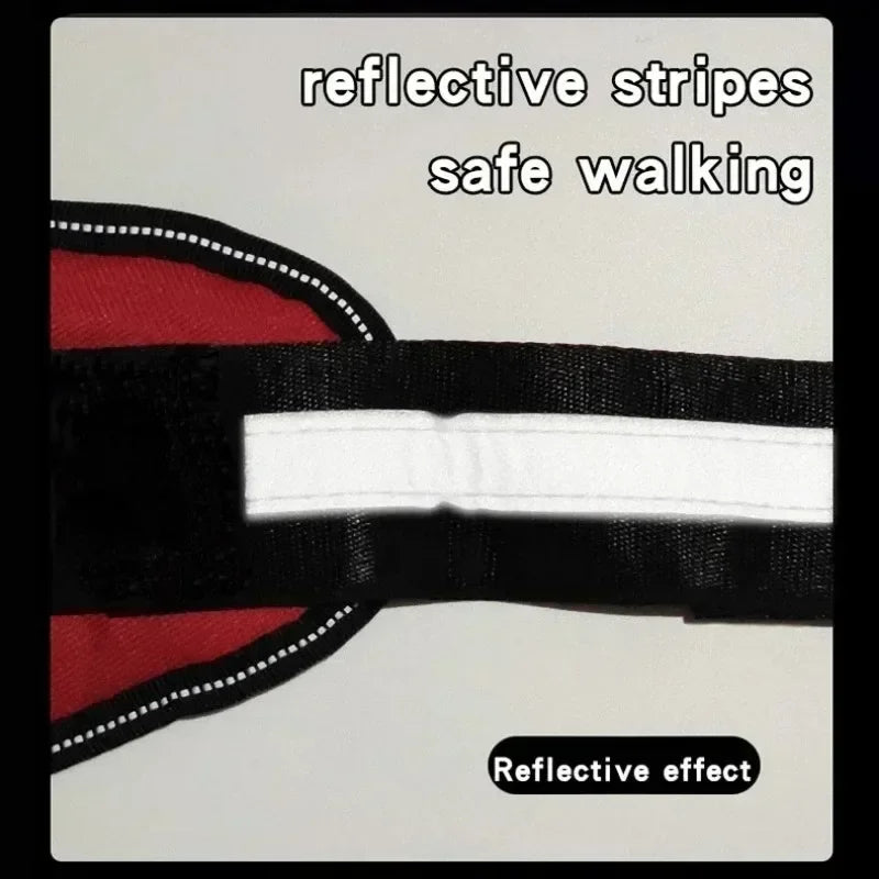 Dog Training Harness