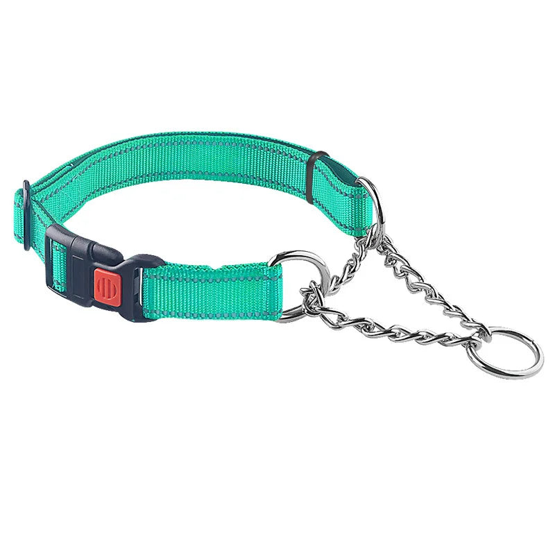 Martingale Dog Collar