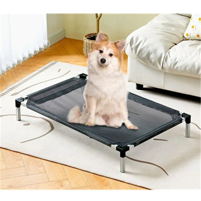 Dog Removable Place Board
