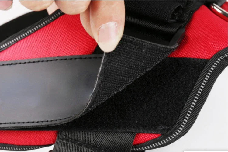 Dog Training Harness