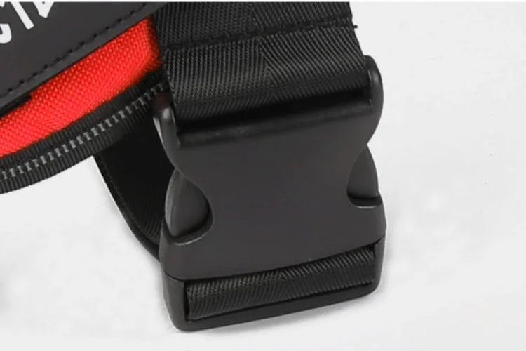 Dog Training Harness