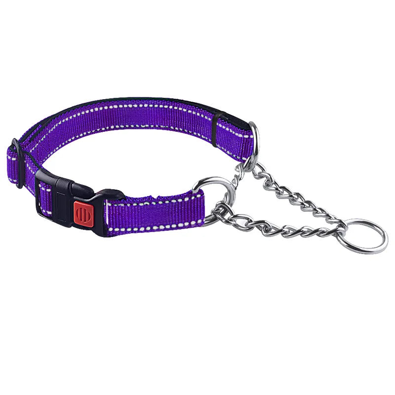 Martingale Dog Collar