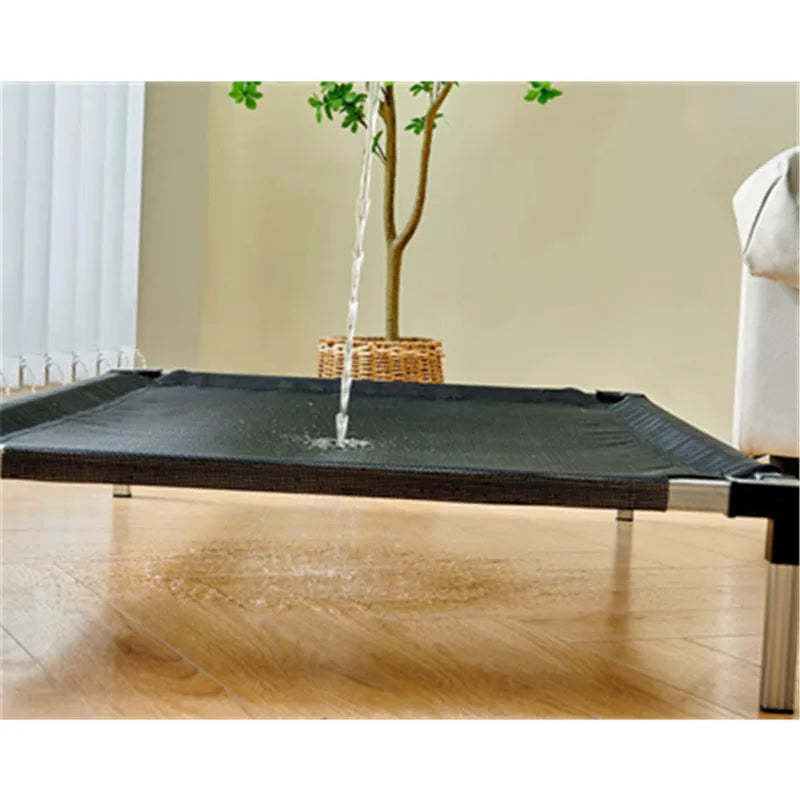 Dog Removable Place Board