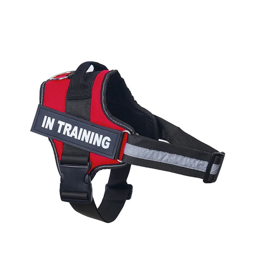 Dog Training Harness