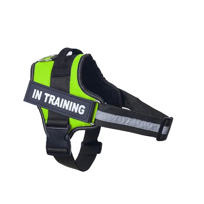 Dog Training Harness