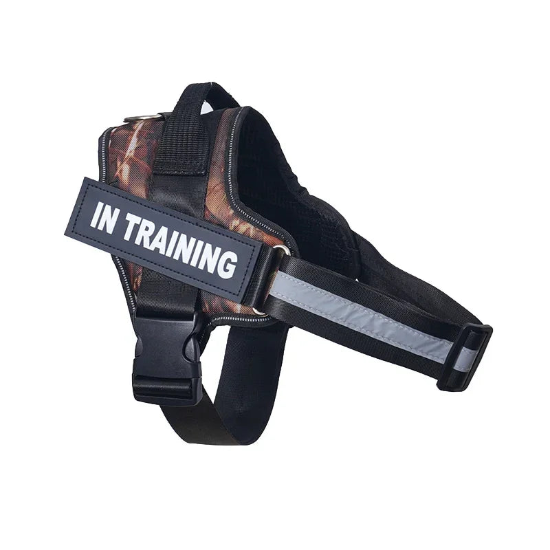 Dog Training Harness