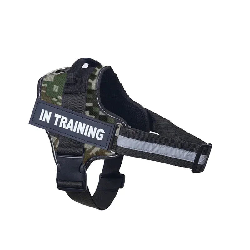 Dog Training Harness