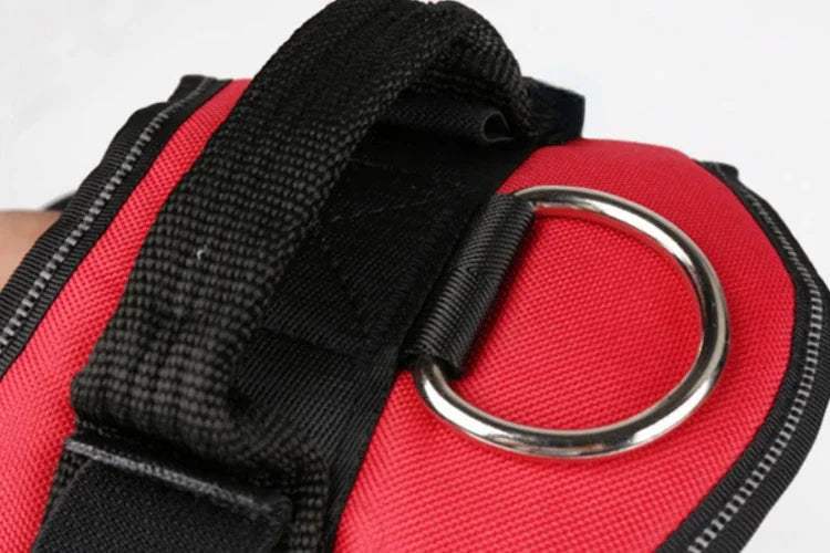 Dog Training Harness