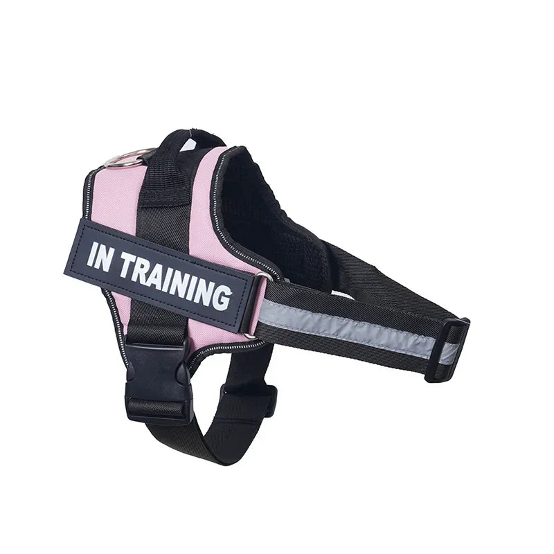 Dog Training Harness