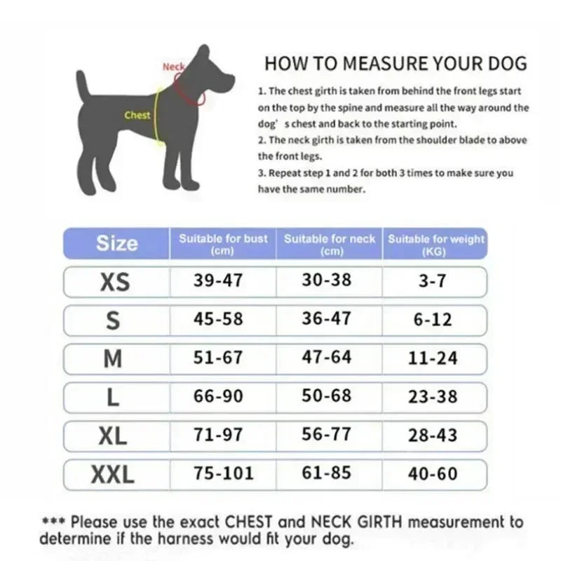Dog Training Harness
