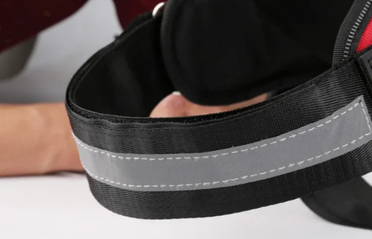 Dog Training Harness
