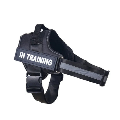 Dog Training Harness