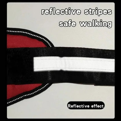 Dog Training Harness