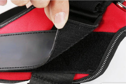 Dog Training Harness