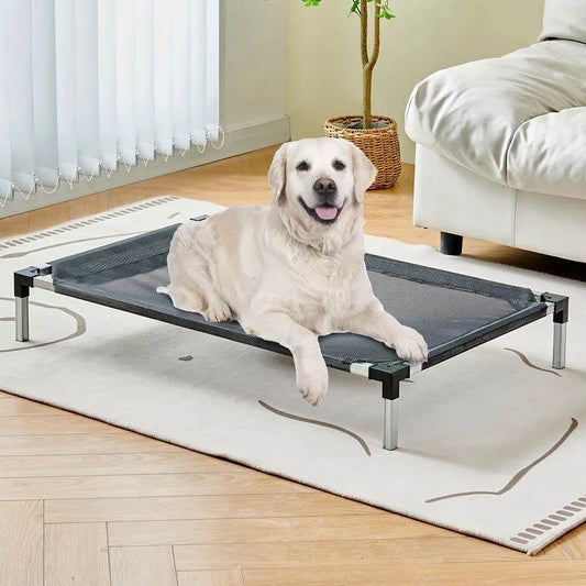 Dog Removable Place Board