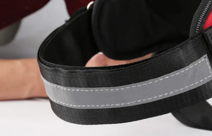 Dog Training Harness